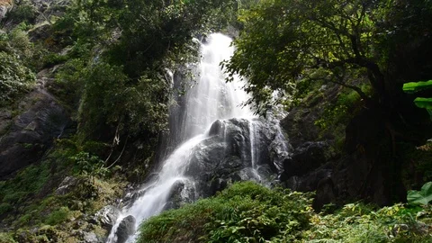 Waterfall in tropical rain forest. Stock Footage 85577985