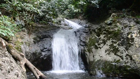 Waterfall in tropical rain forest. Video stock 85601100
