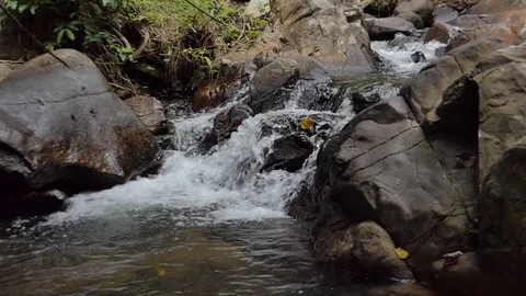 Waterfall in tropical rain forest. Video stock 119986233