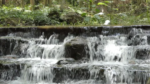 Waterfall in tropical rain forest. Video stock 142267308