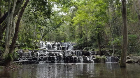 Waterfall in tropical rain forest. Video stock 146756293