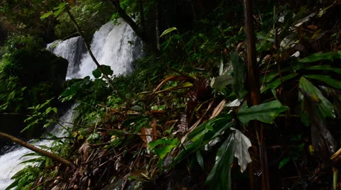 Waterfall in the tropical rain forest. HD 库存影片 42145310