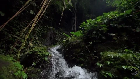 Waterfall at tropical rainforest Stock Footage 172367534