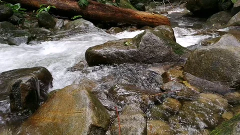 Waterfall in Ultra HD Stock Footage 86229147