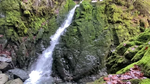 A waterfall under a cave and the source Hundsloch (Hundslochquelle) Stock Footage 294899154