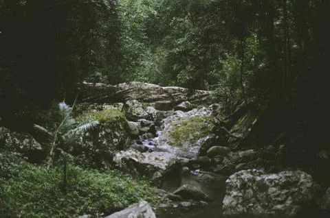 Waterfall under fallen tree Stock Photos
