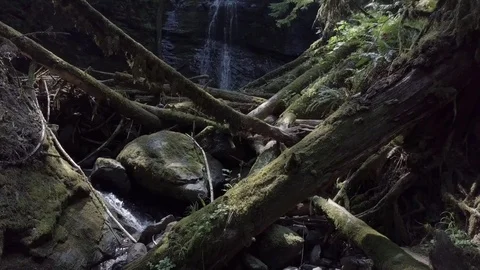 Waterfall v.1 Video stock 78828938