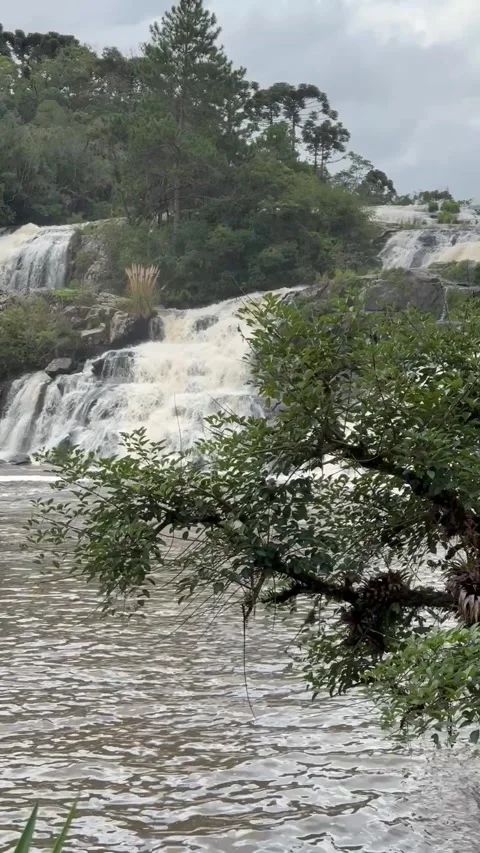 Waterfall with vegetation Stock Footage 309136669