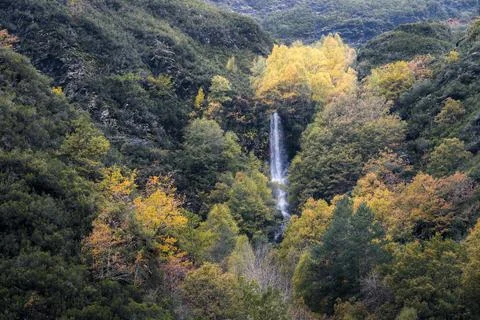 Waterfall with vertical fall of water between autumn forests Stock Photos