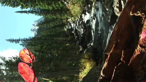 Waterfall (vertical) Stock Footage 72571992