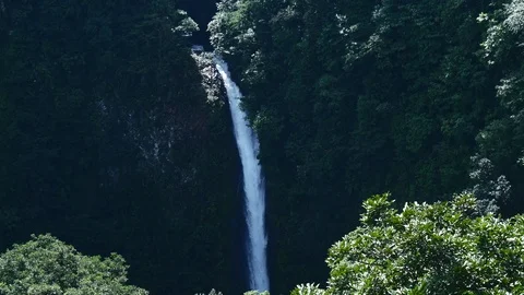 Waterfall vertical Stock Footage 126551000