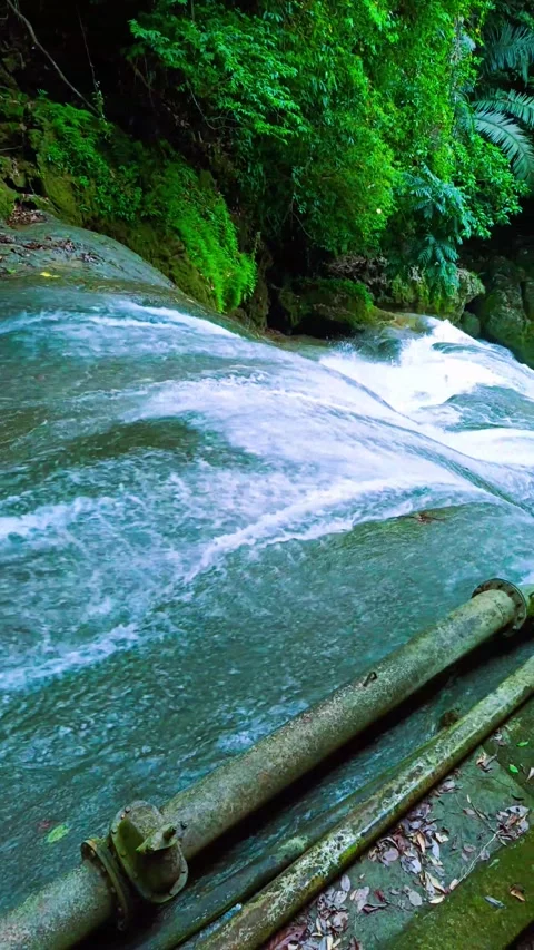 Waterfall. View from above. Stock Footage 295470793