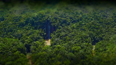 Waterfall view from drone, tropical green forest. Trees, water Stock Footage 166448271