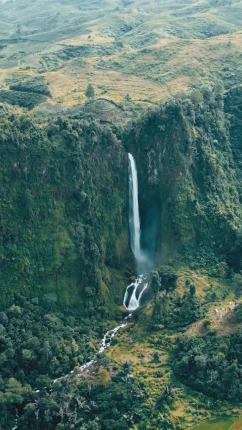 Waterfall view Video stock 203907015