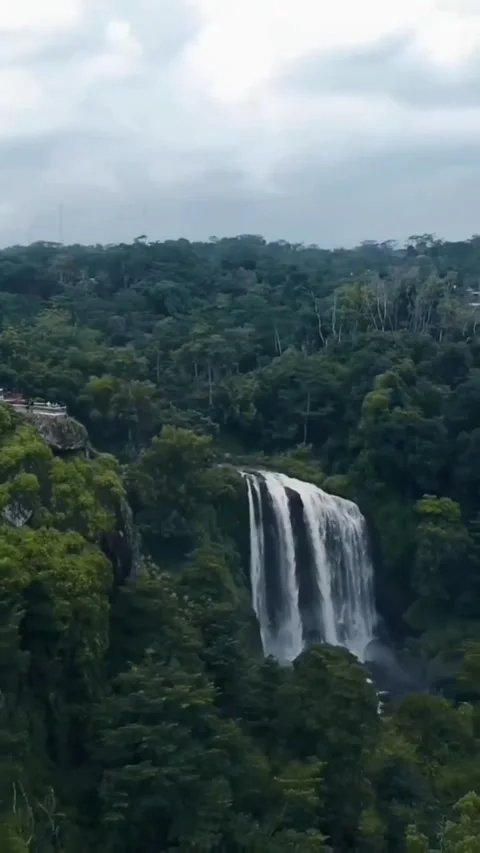 Waterfall view Video stock 204005246