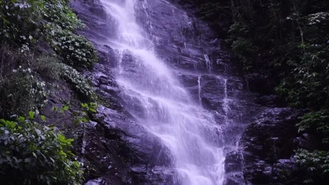Waterfall view Stock Footage 282637647