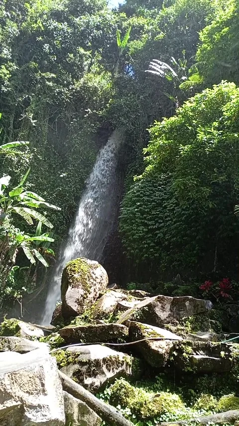 Waterfall view in the forest Vídeos de archivo 310352837