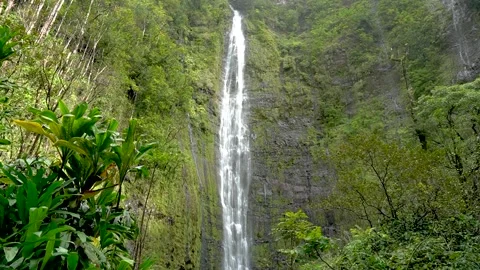 WATERFALL Waimoku Falls Video stock 307626306
