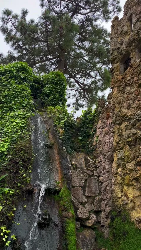 Waterfall on the wall Stock Footage 303922108