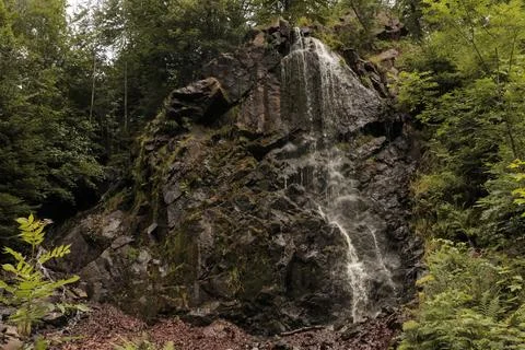 Waterfall with water falling down the rocks with nature forest Stock Photos