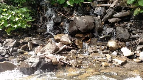 Waterfall water flowing from mountain forest landscape Fast flowing liquid among Stock Footage 116720769