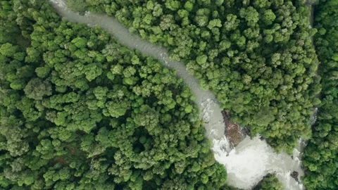 Waterfall water in native forest Stock Footage 248868690