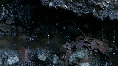 Waterfall water nature cascade Stock Footage 93735975