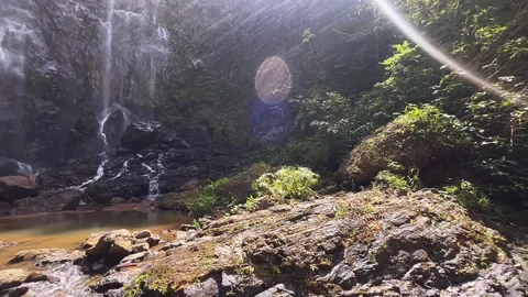 Waterfall, water, nature, river, stream, cascade, forest, rock, landscape, Stock Footage 236935129