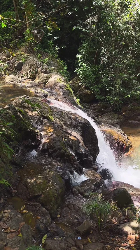 Waterfall, water, nature, river, stream, landscape, cascade, forest, Stock Footage 236935802