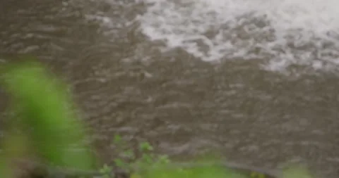 Waterfall Water On Stream, Rack Focus Video stock 330585295