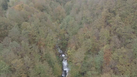 Waterfall. Waterfall in a pine forest. Aerial view. Stock Footage 141501684