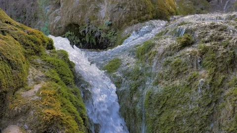 Waterfall waterfall of small mountain river on green rocks in slow motion Stock Footage 124384718