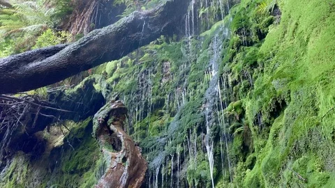 Waterfall in the Western Cape Stock Footage 112201521