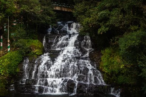 Waterfall white stream flowing in deep green forests at evening long exposure Foto stock