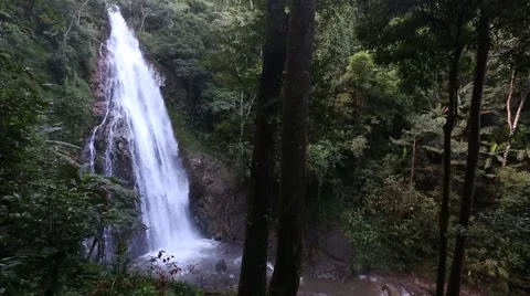 Waterfall in the Wilderness. Stock Footage 49773488