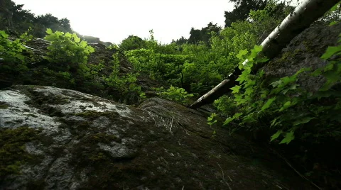 Waterfall with wind blowing  Stock Footage 726574