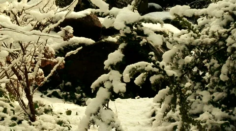 Waterfall in the winter snow 3 스톡 동영상 596365