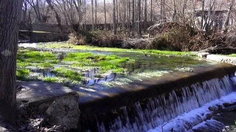 Waterfall in the wood Stock Footage 122350794