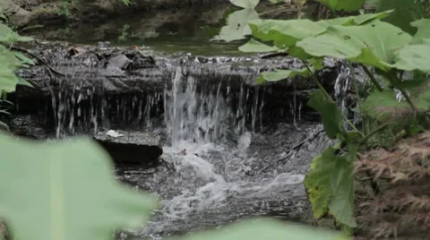 Waterfall in the woods (with audio) Stock Footage