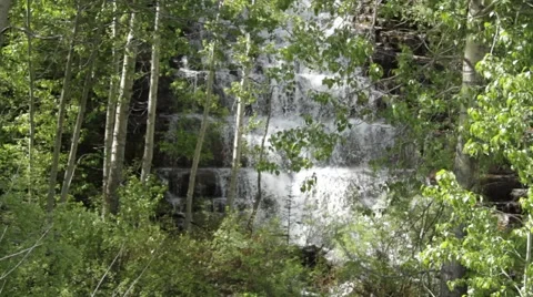 Waterfall in the woods (with audio) 스톡 동영상 48333435