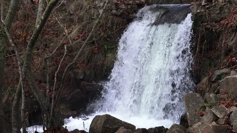 A waterfall in the woods between trees and rocks Stock Footage 120997017