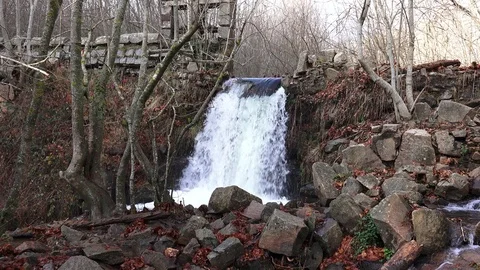 A waterfall in the woods between trees and rocks Stock Footage 120997031