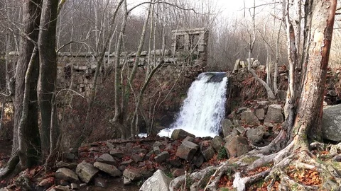 A waterfall in the woods between trees and rocks Stock Footage 120997054