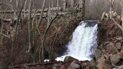 A waterfall in the woods between trees and rocks Stock Footage 120997058