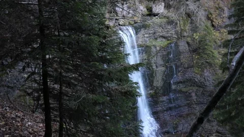 Waterfall in the woods - Chartreuse mountains Stock Footage 165801323