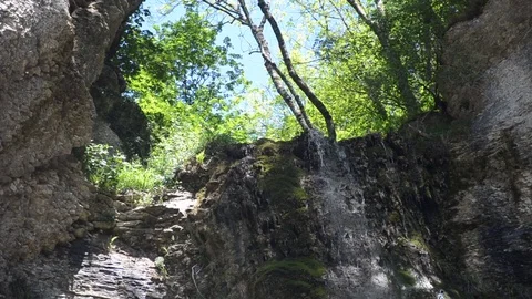 Waterfall in the woods Video stock 77848566
