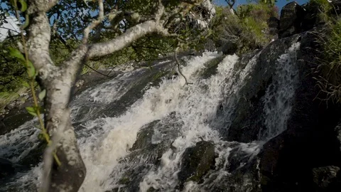 Waterfall in the woods Stock Footage 129741585