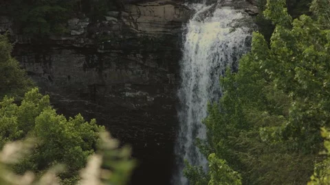 Waterfall in the Woods Vídeo Stock 132904777