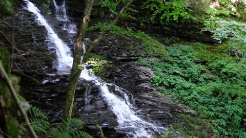 Waterfall in the woods 스톡 동영상 207912477