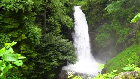 Waterfall in the woods Stock Footage 219510742